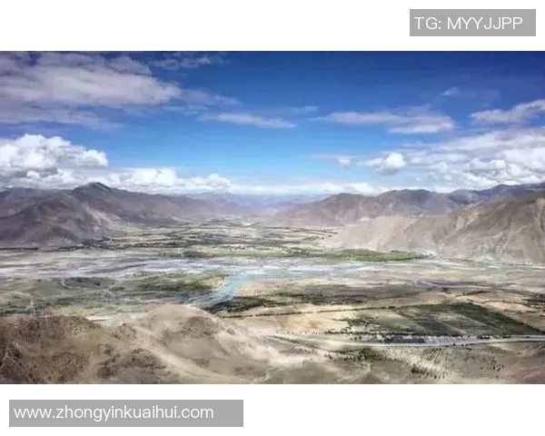 成都与南京极限运动队赛后技术分析与战术对比探讨MBA