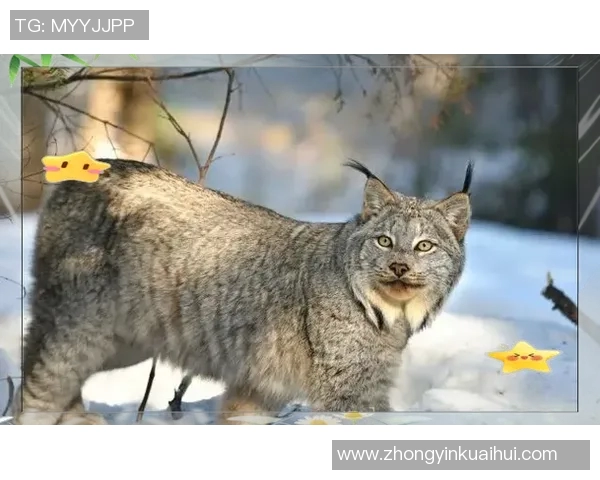 克拉斯与喀山红激战正酣谁能在这场对决中笑到最后