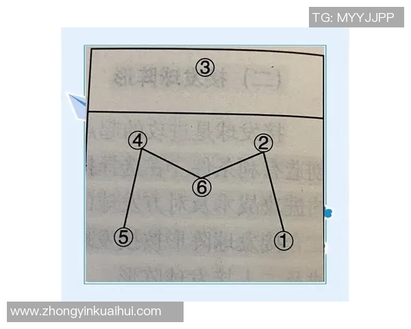 深入分析北京排球队的进攻策略与战术特点探讨